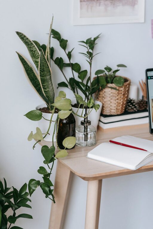 Tips for Creating a Cozy and Inviting Home Workspace